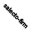 salecto-firm